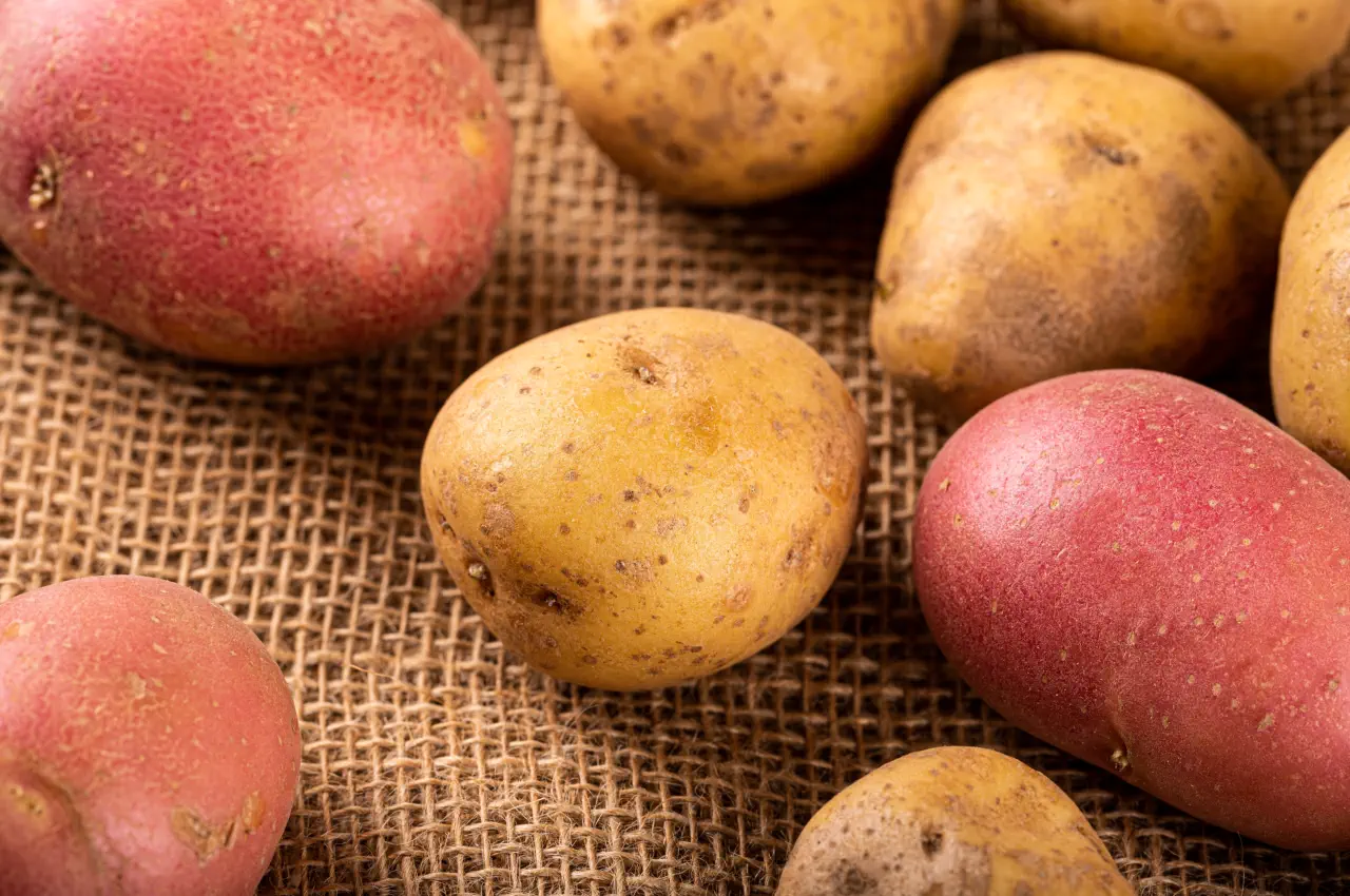 What Are Floury Potatoes?